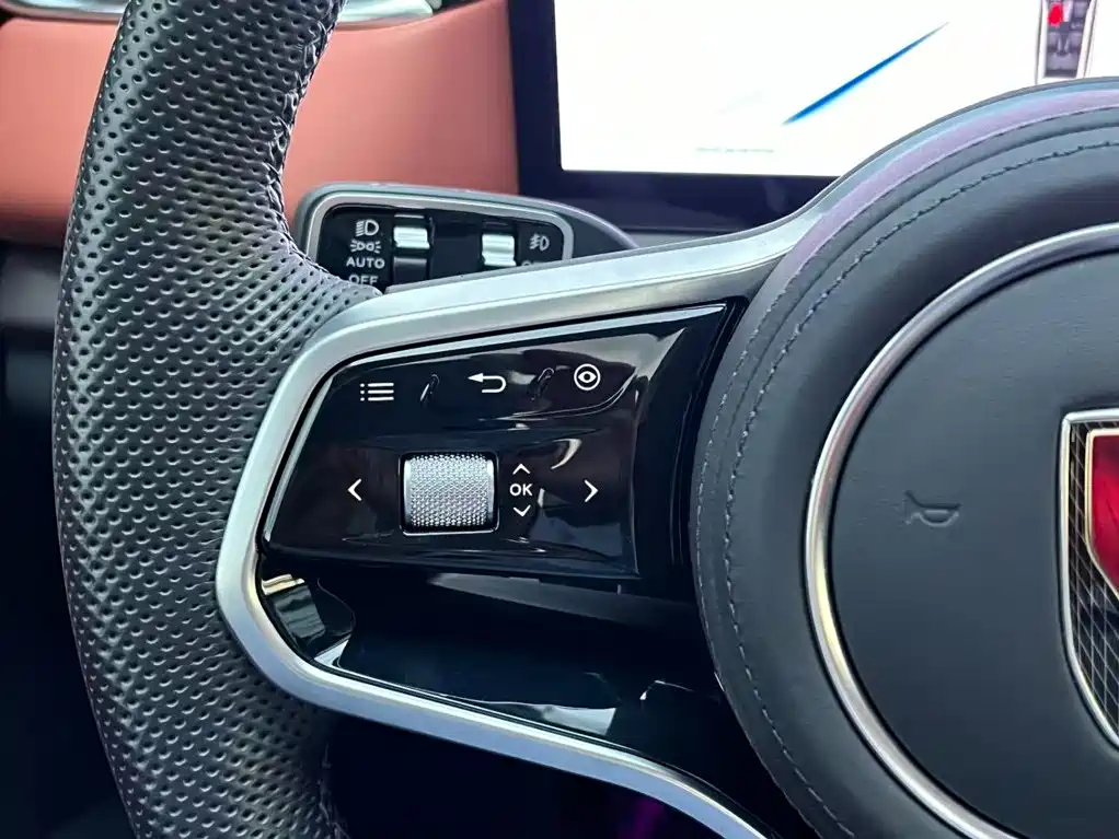 Hongqi Hongqi HS7 PHEV — миниатюра 19