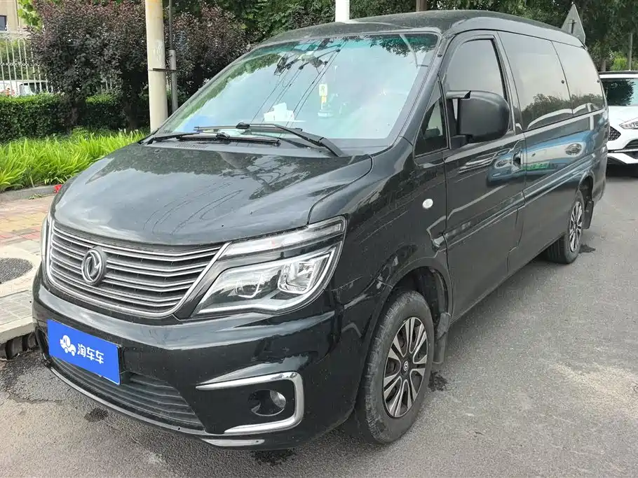 Fengxing Lingzhi 2019