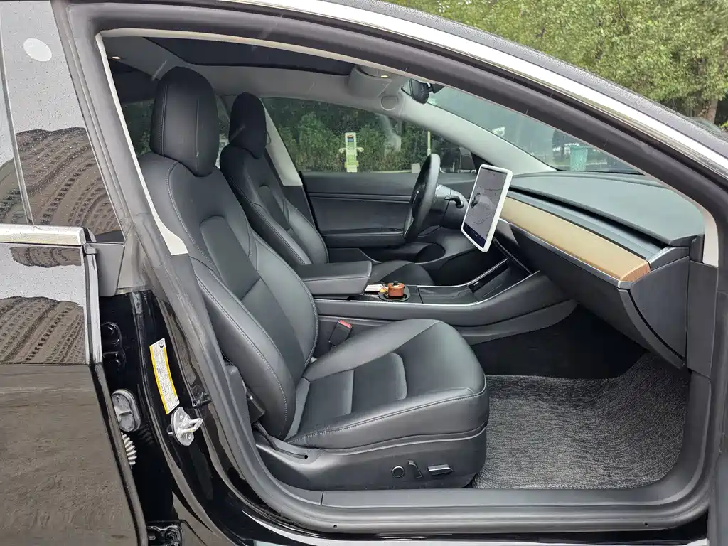 Tesla Model 3 — миниатюра 14