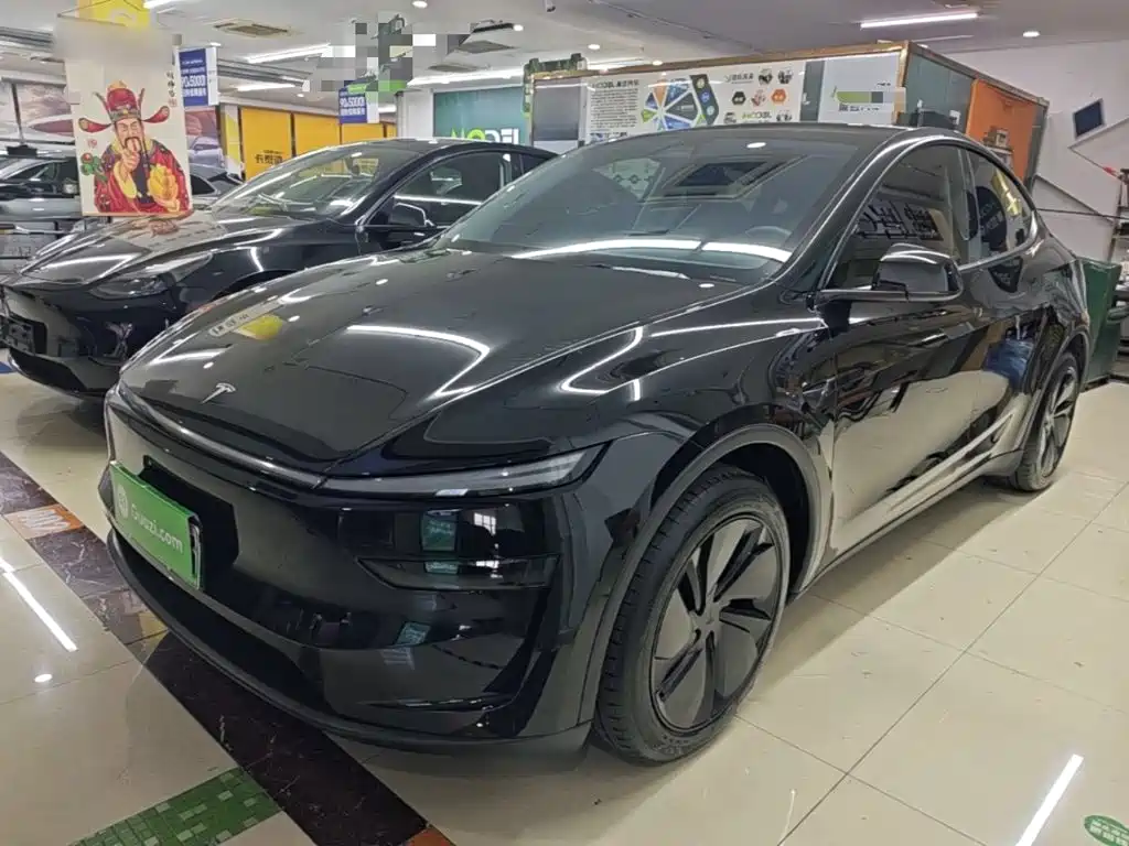 Tesla Model Y — миниатюра 2