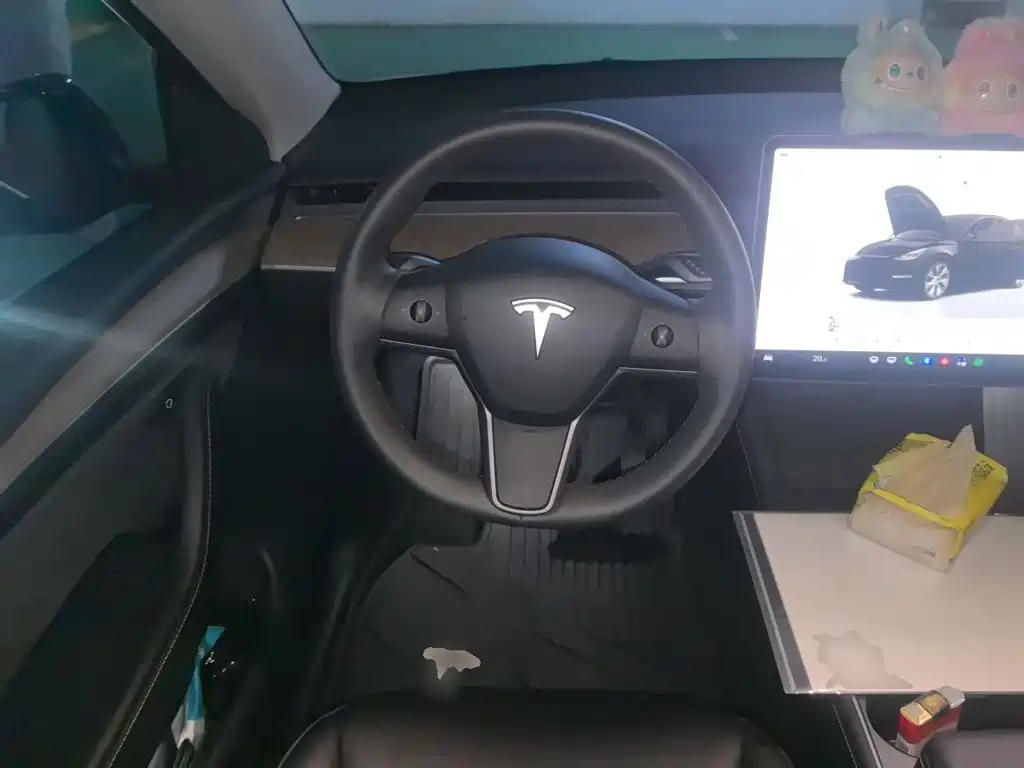 Tesla Model Y — миниатюра 7