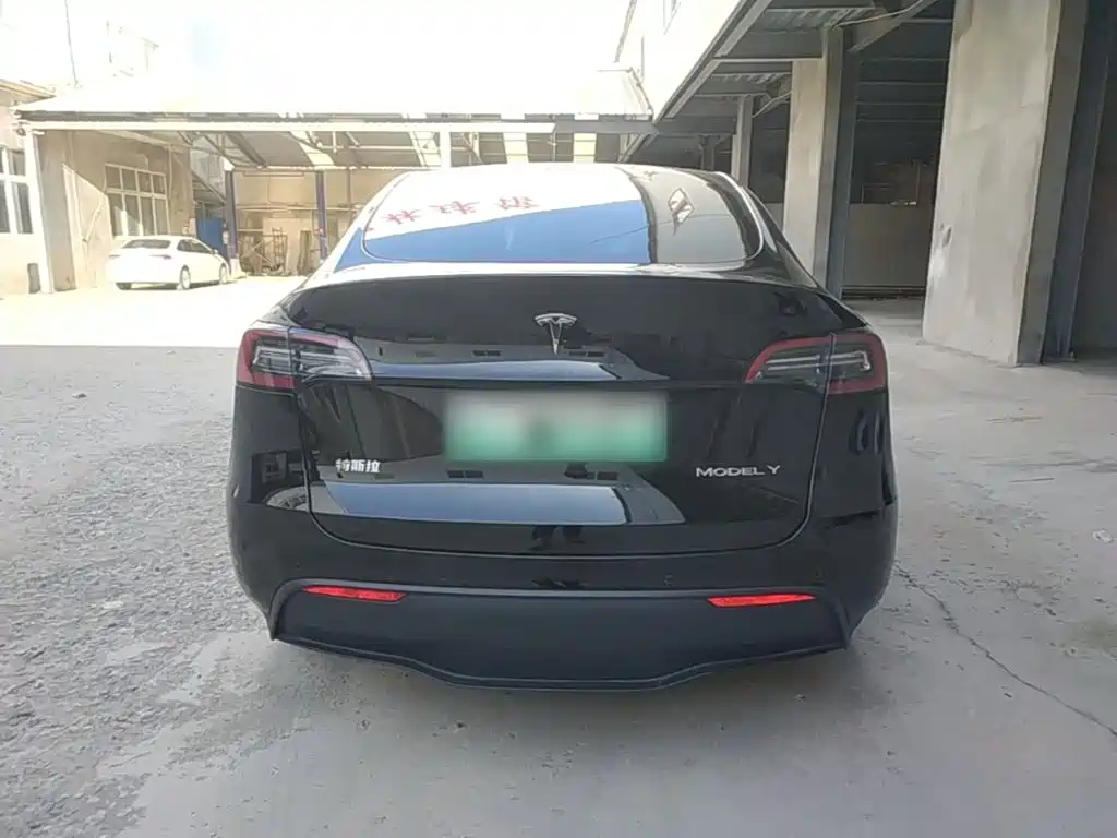 Tesla Model Y — миниатюра 6
