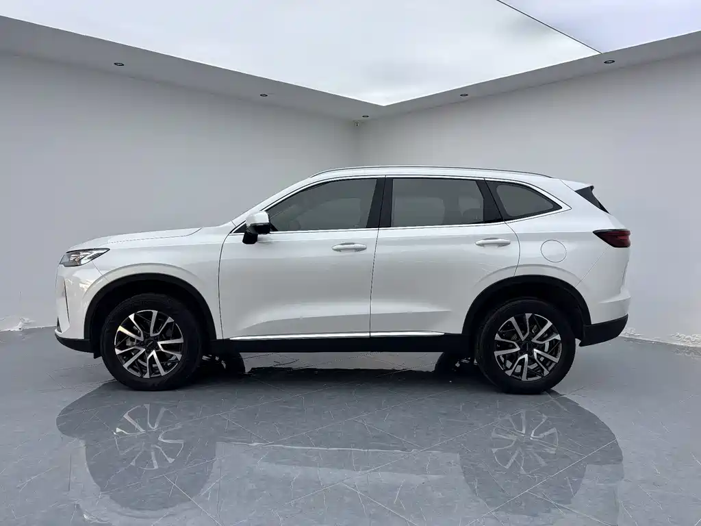 Haval H6 2022 — фото 15