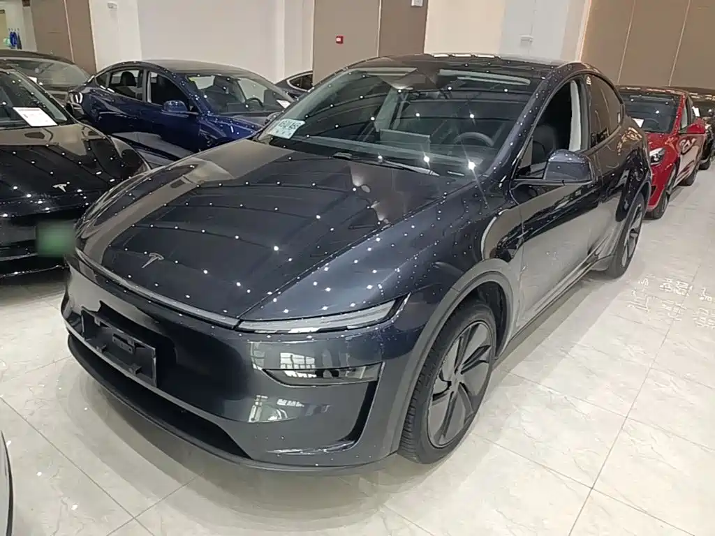 Tesla Model Y — миниатюра 2