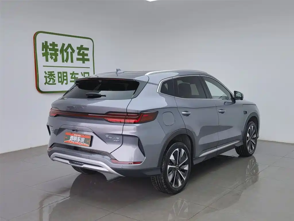 BYD SONGJIANG NEW ENERGY