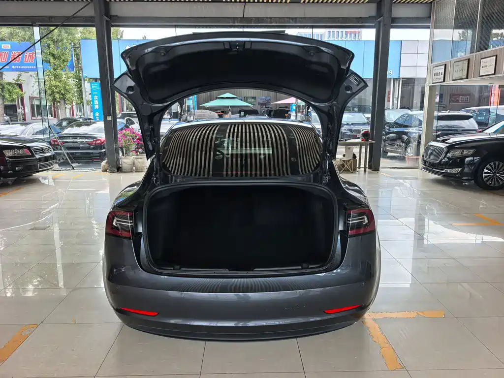 Tesla Model 3 — миниатюра 11