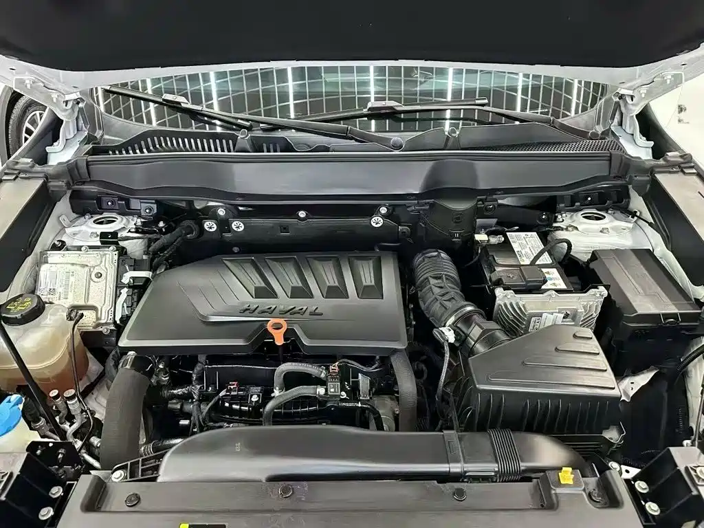 Haval H6 — миниатюра 13