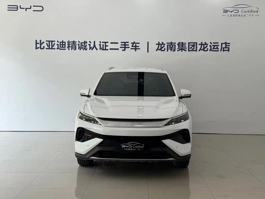 BYD Pro New Energy — миниатюра 2