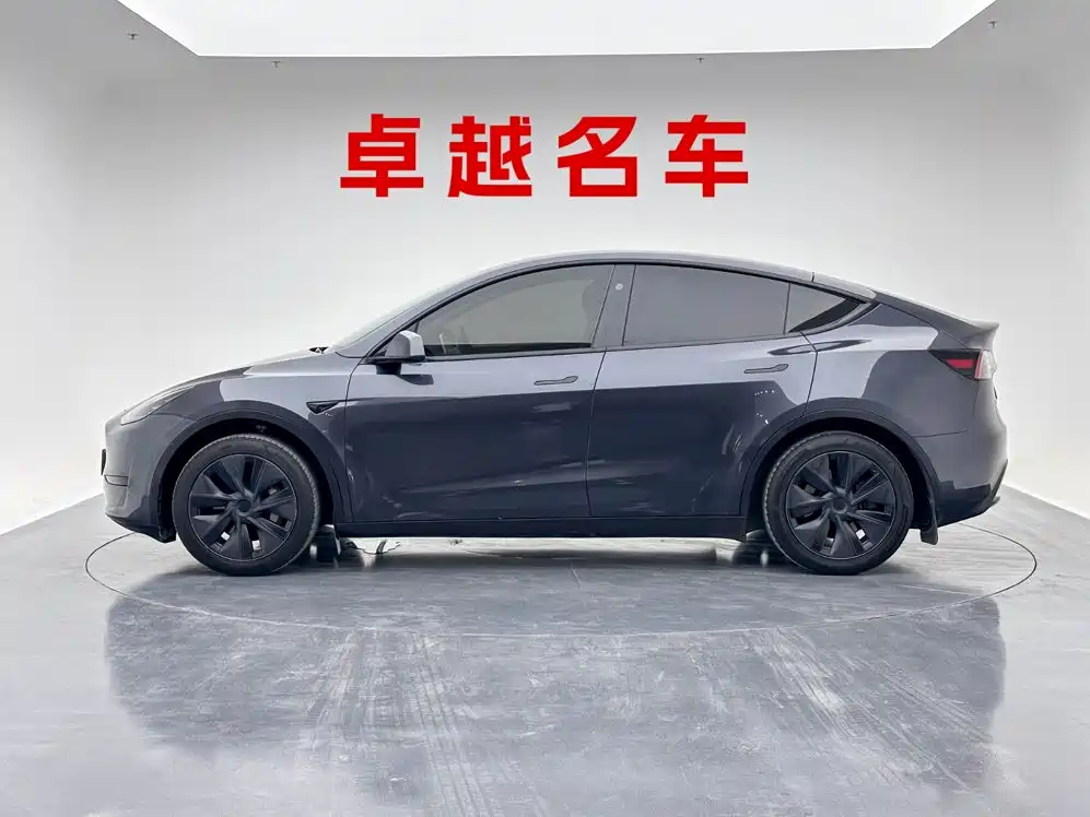 Tesla Model Y — миниатюра 7