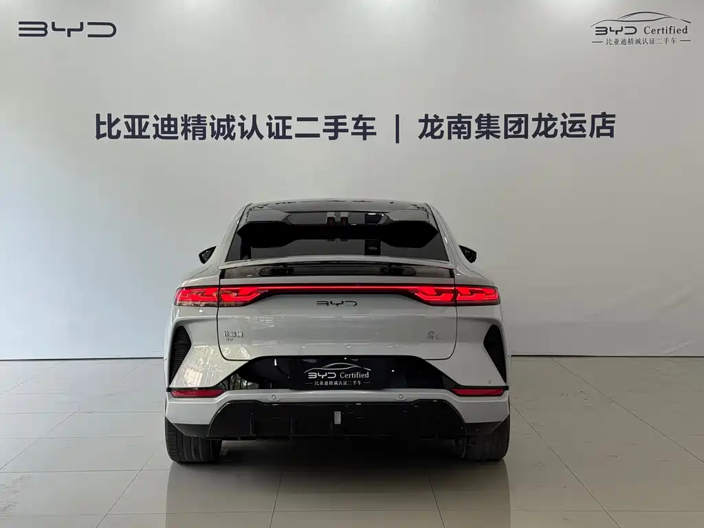 BYD L EV — миниатюра 5