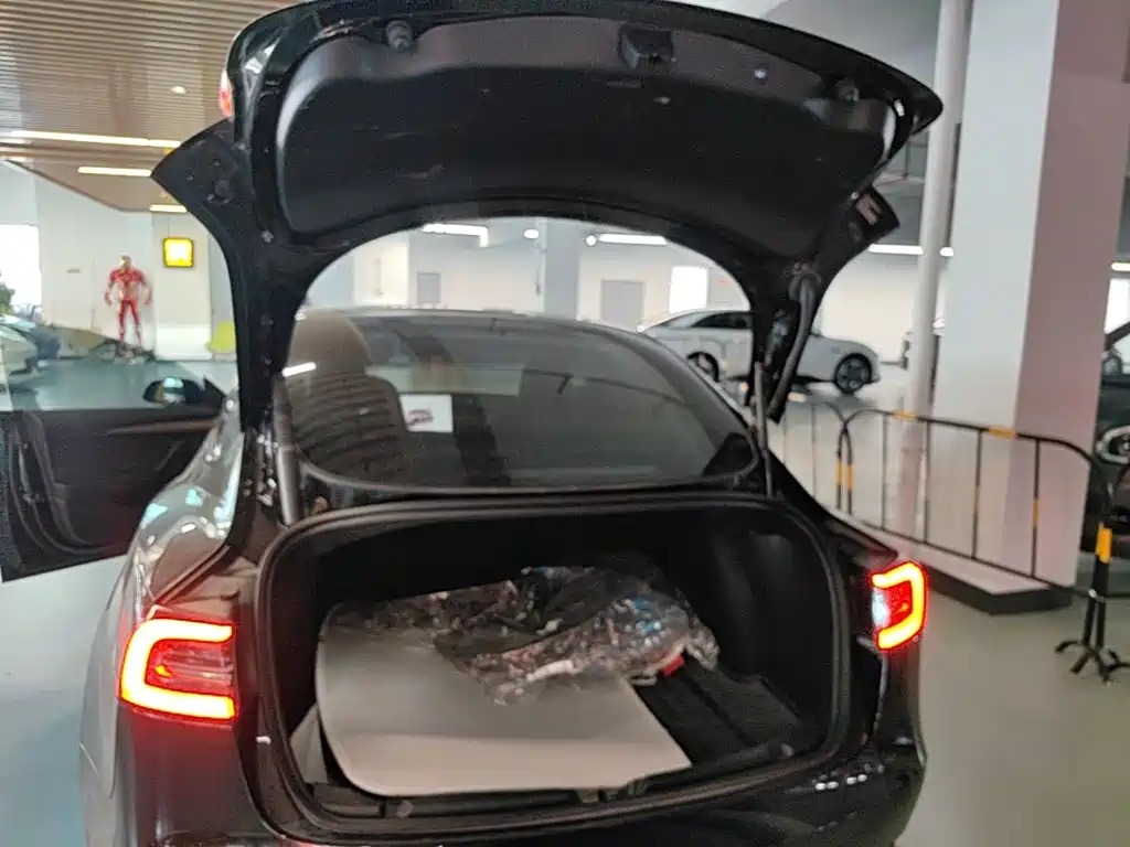 Tesla Model 3 — миниатюра 19