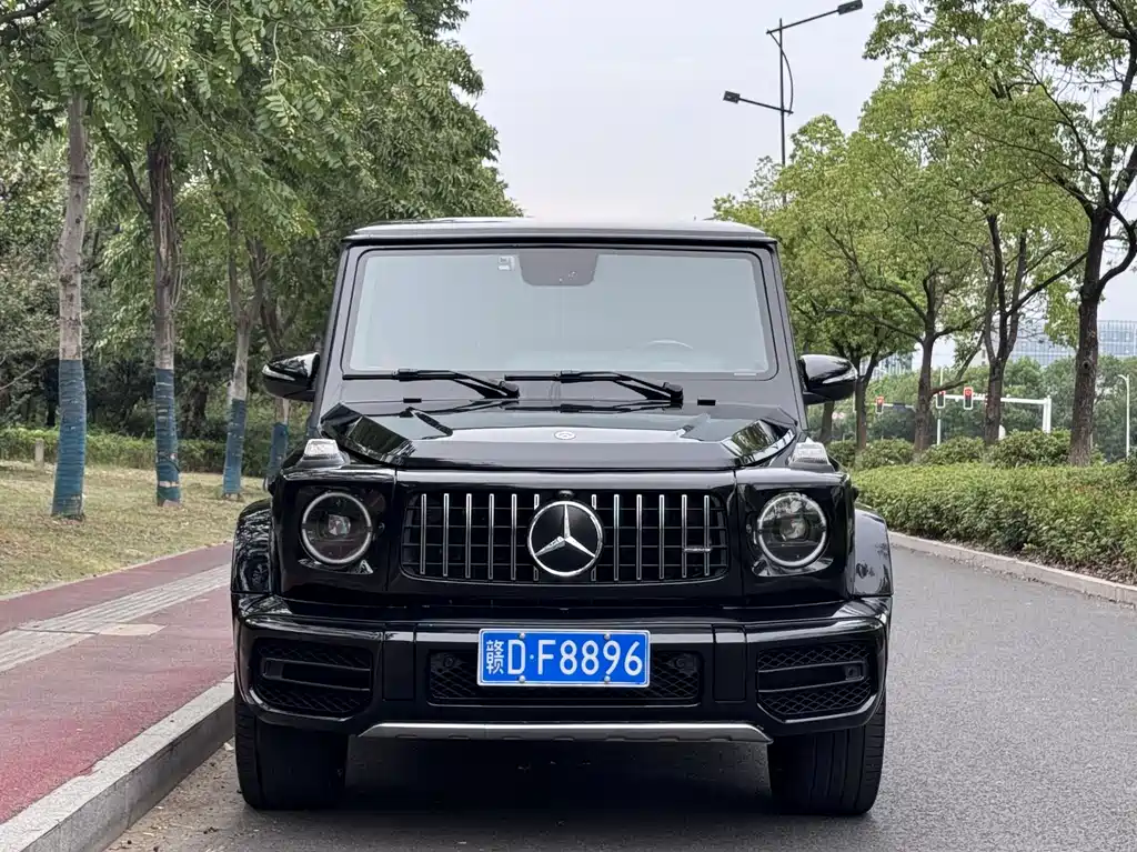 Mercedes-Benz G-Class G 2010 G 500
