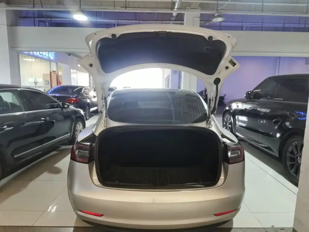 Tesla Model 3 — миниатюра 19
