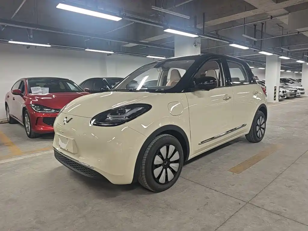 Wuling Binguo 2025 333km Premium