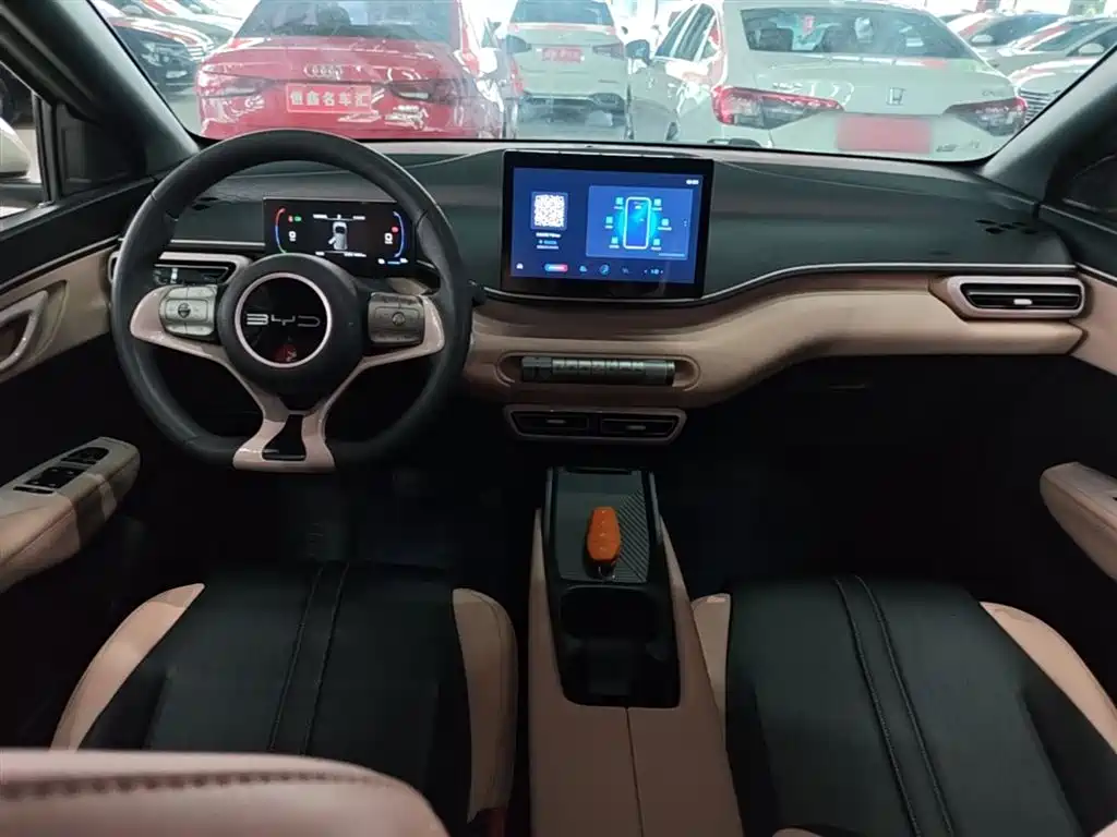 BYD Seagull