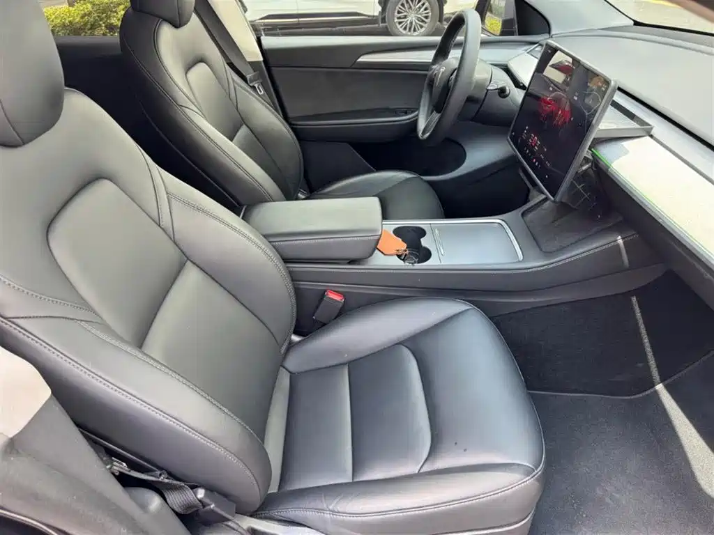 Tesla Model Y — миниатюра 11