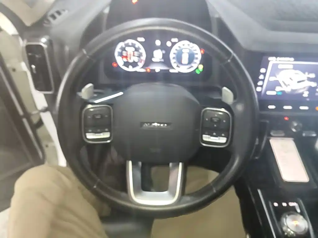 Haval Big Dog — миниатюра 11
