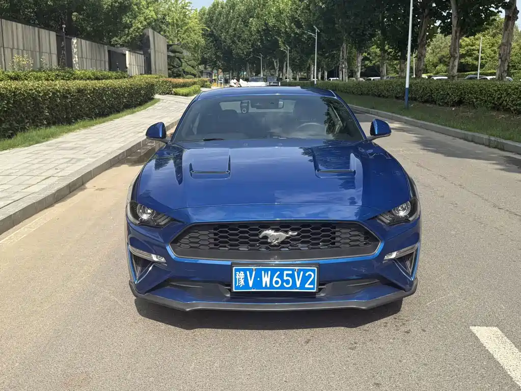 Ford Mustang — миниатюра 2