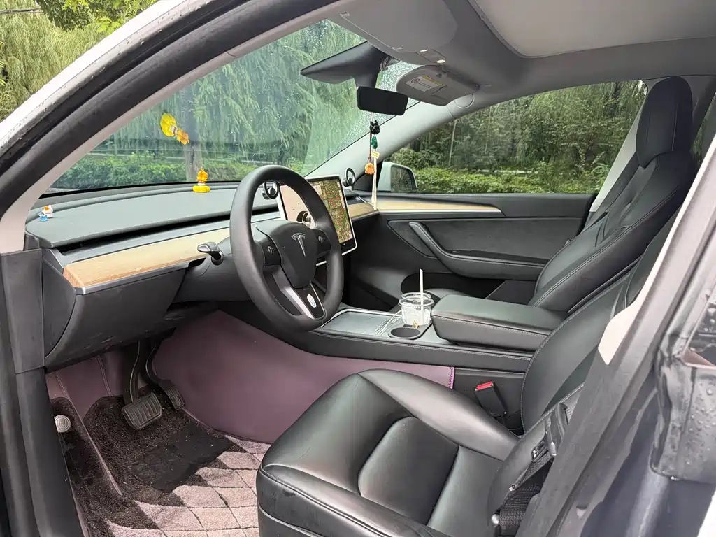 Tesla Model Y — миниатюра 6