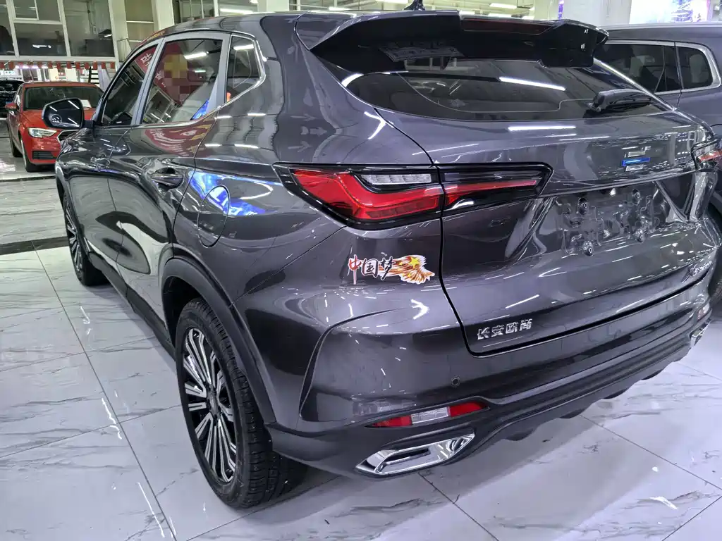 Oshan Oushang X5 — миниатюра 4