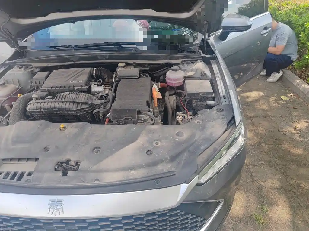 BYD Qin PLUS — миниатюра 20