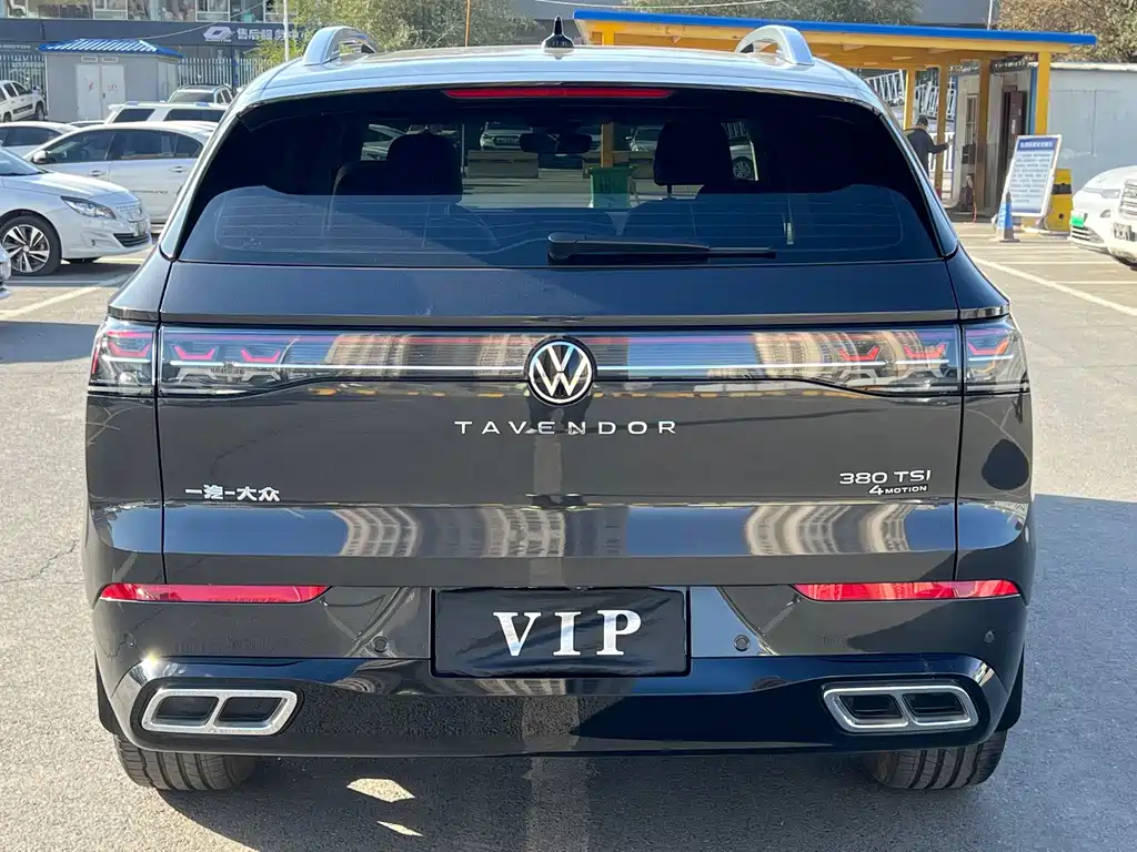 Volkswagen Tavendor — миниатюра 7