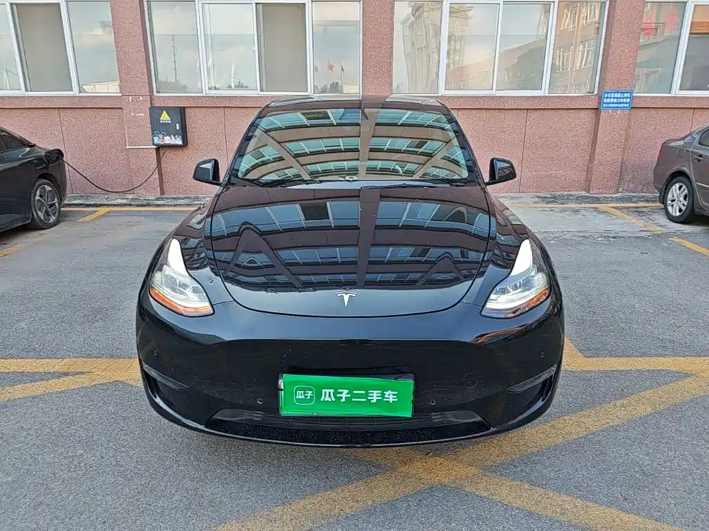 Tesla Model Y — миниатюра 3