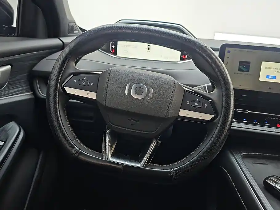 Qiyuan Чанг Ан Кай Q05 классика. — миниатюра 15