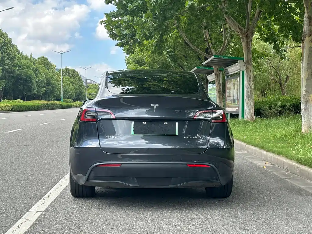 Tesla Model Y — фотографии объявления, Фото 6