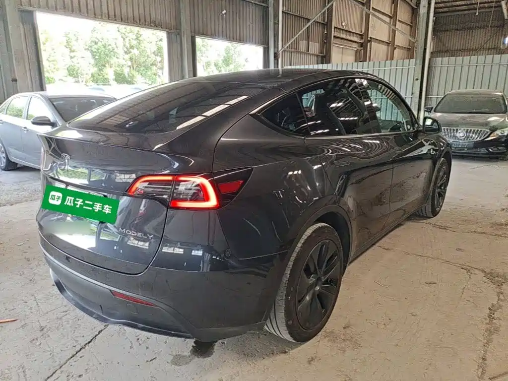 Tesla Model Y — миниатюра 7