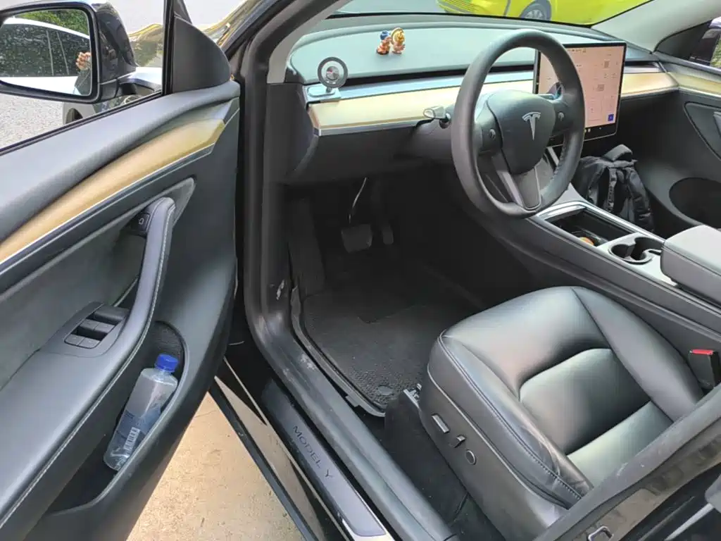 Tesla Model Y — миниатюра 16