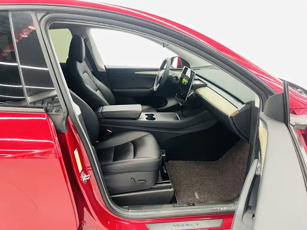 Tesla Model Y — миниатюра 13