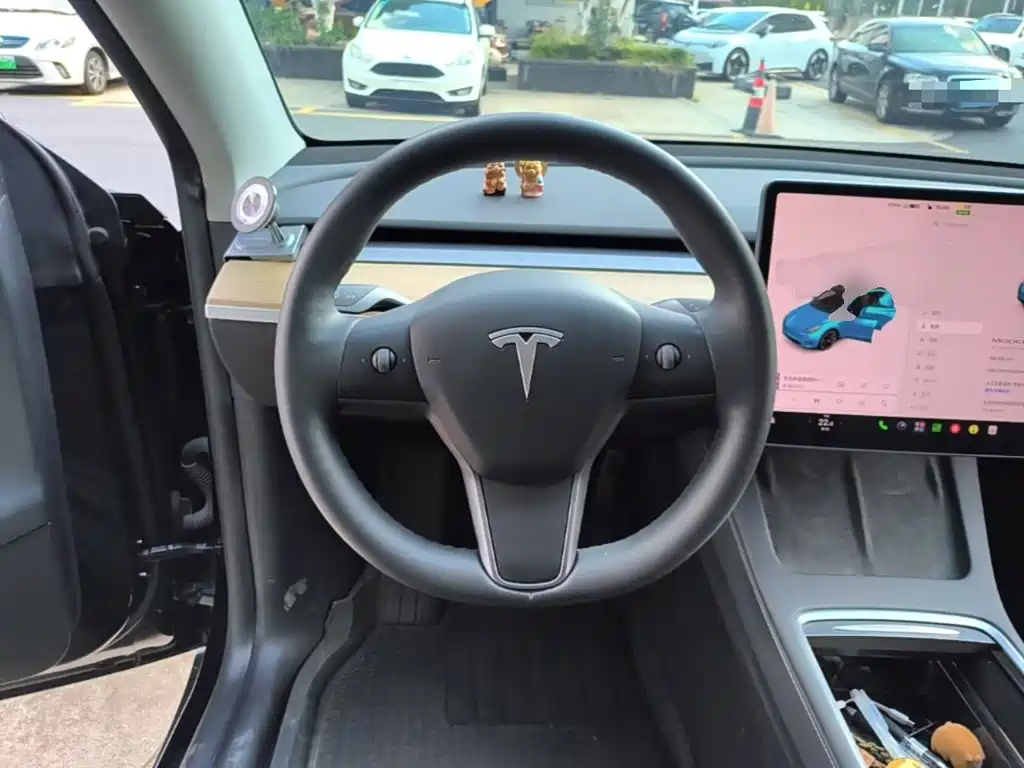 Tesla Model Y — миниатюра 11