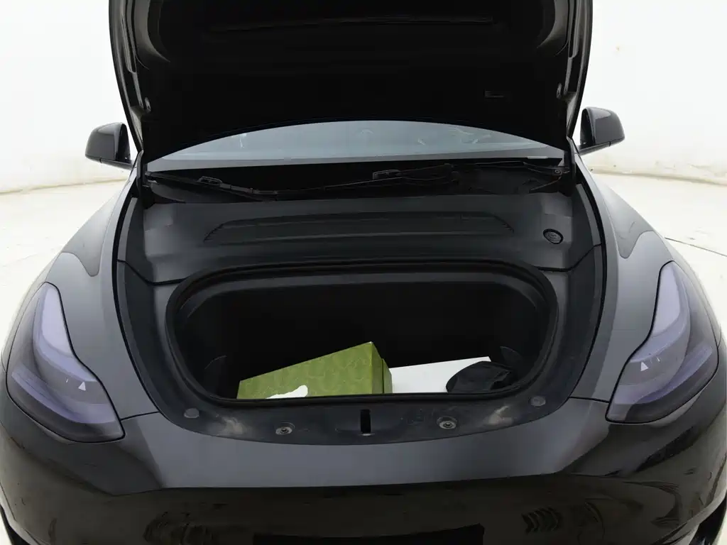 Tesla Model Y — миниатюра 27