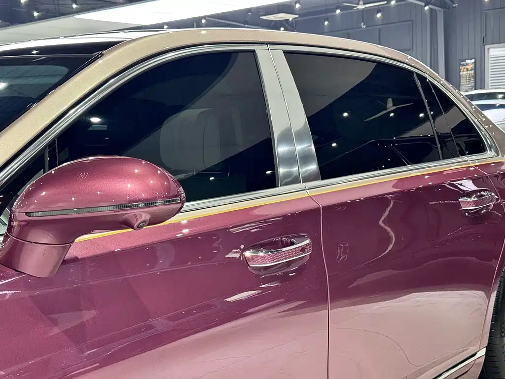 Hongqi Hongqi Golden Sunflower Guoya — миниатюра 13