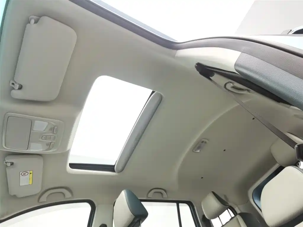 SWM SWAY MOTORS SWM SWAY TIGER EDI