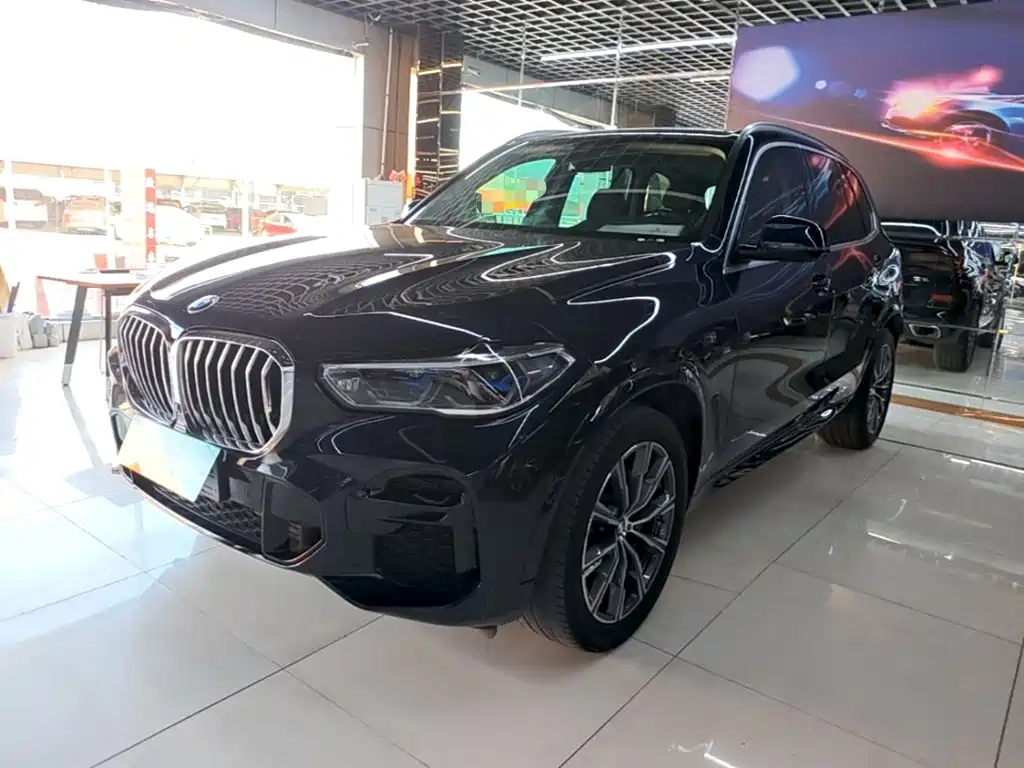 BMW X5 (Import) — миниатюра 2