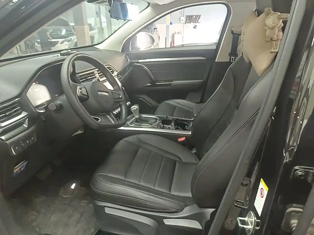 Haval F5 — миниатюра 15