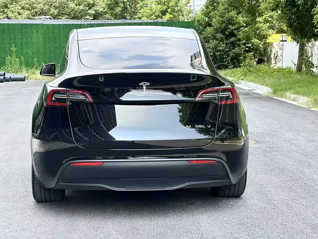 Tesla Model Y — миниатюра 5