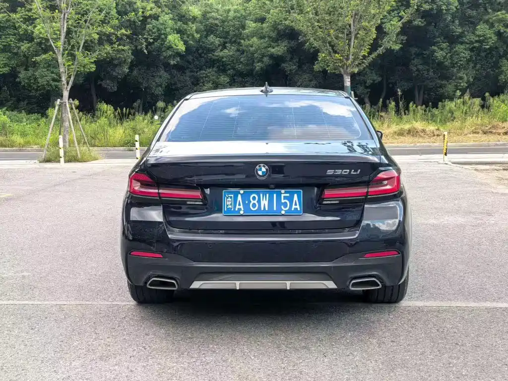 BMW 5 Series — миниатюра 8