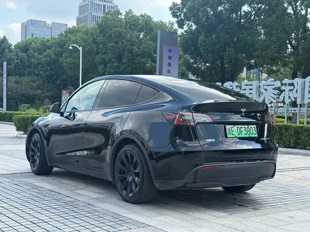 Tesla Model Y — миниатюра 8