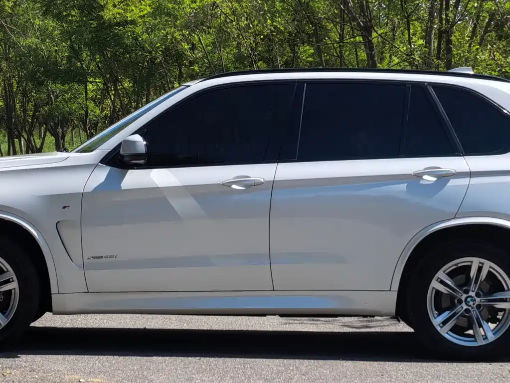 BMW X5 (Import) — миниатюра 3