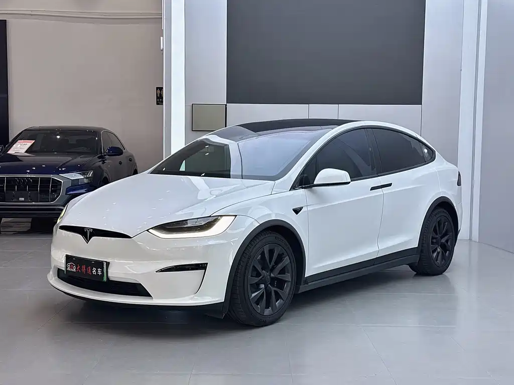Tesla Model X — миниатюра 3
