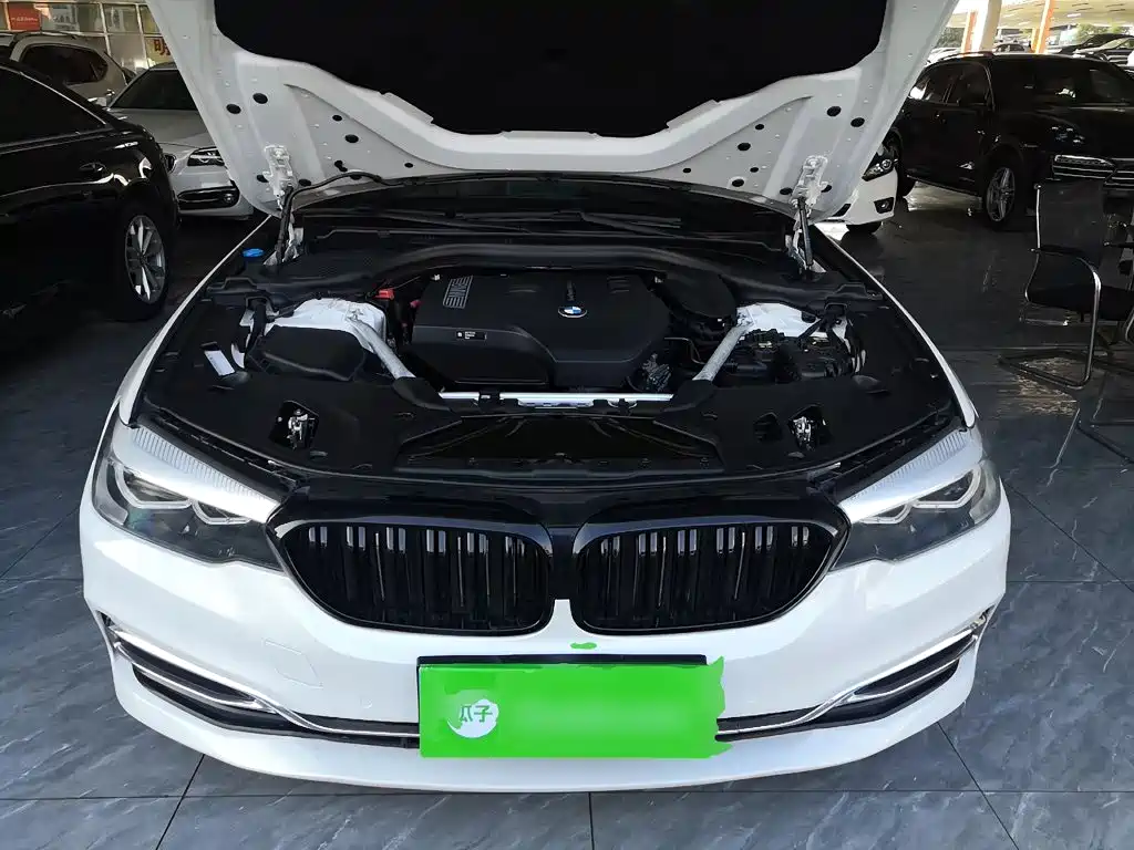 BMW 5 Series 5 2019 530Li Lead Luxury