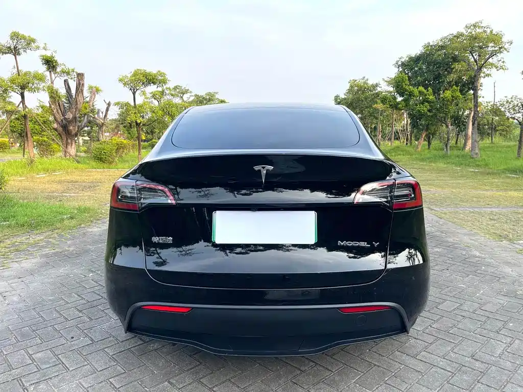 Tesla Model Y — миниатюра 8