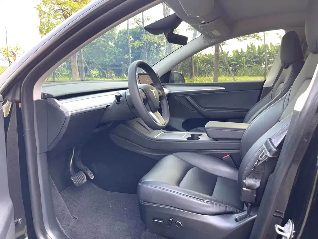 Tesla Model Y — миниатюра 5