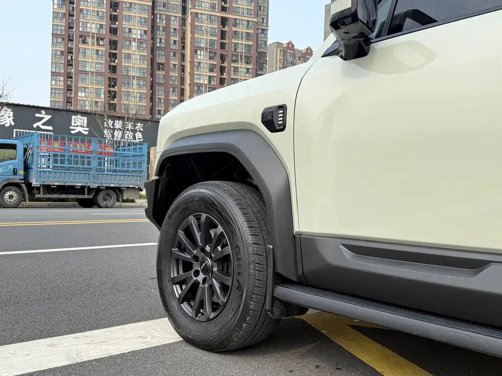 FANG CHENG BAO LEOPARD 5