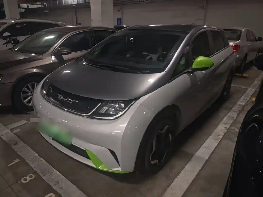 BYD Dolphin 2021 405km Fashion
