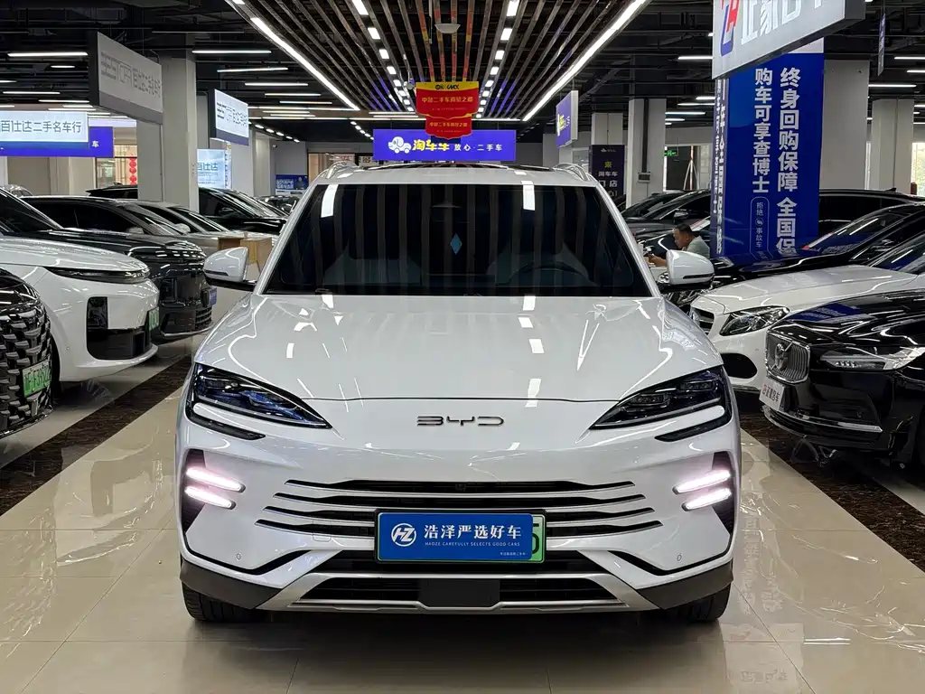 BYD PLUS New Energy — миниатюра 2