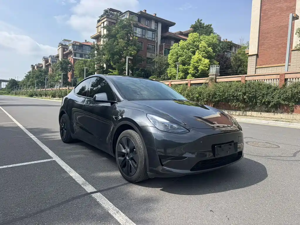 Tesla Model Y — миниатюра 3